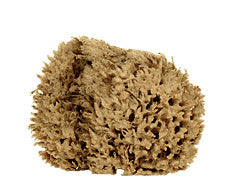 CRL Natural Organic Sponge *DISCONTINUED*