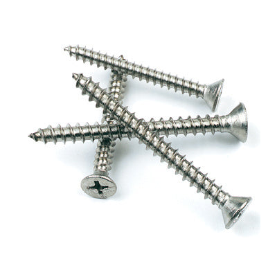 Mill Flat Head S.S. Phillips Screws