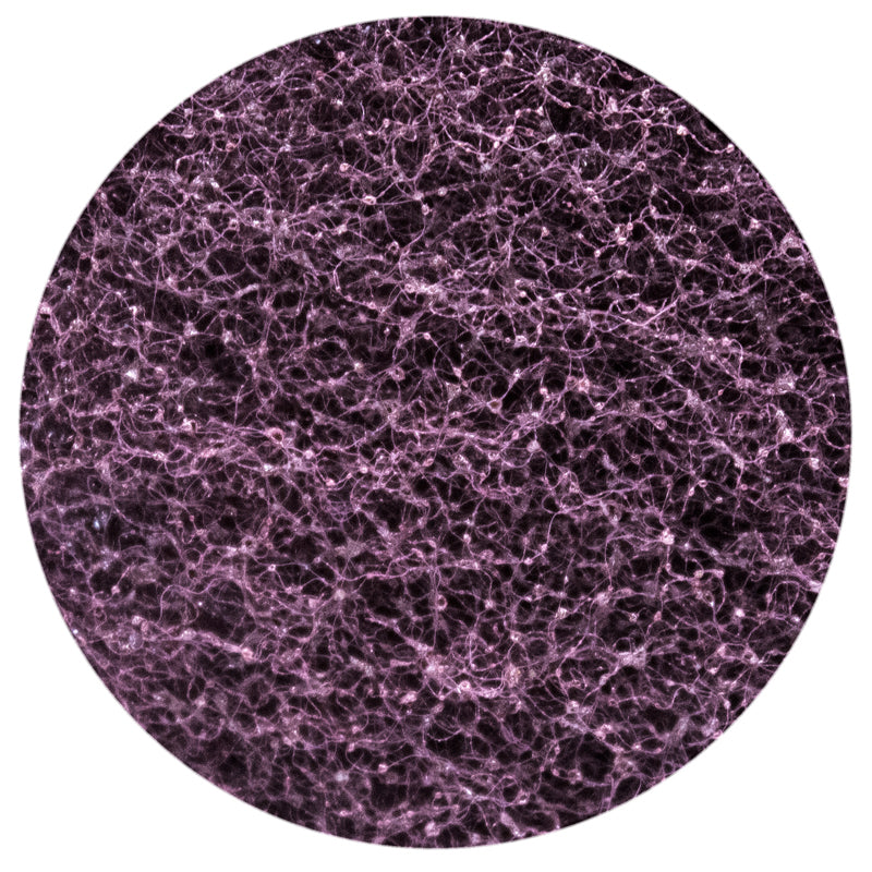 FHC Abrasive Finishing Hand Pads